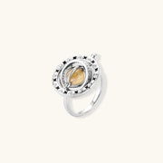 Terra Orbit Ring