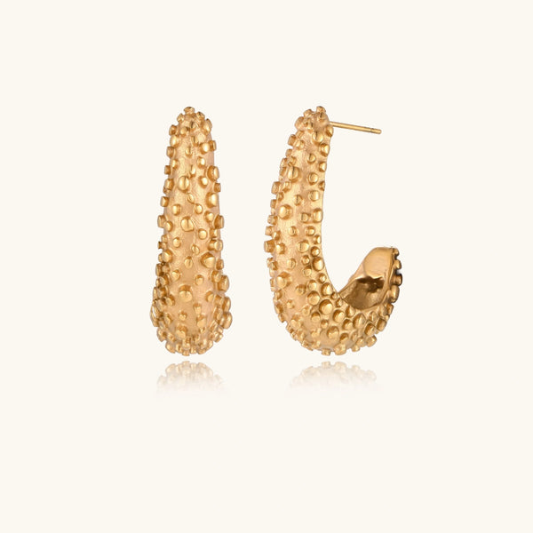 Reefgrain Crescent Hoops
