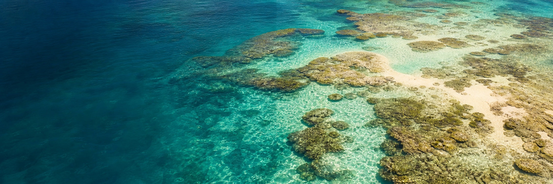 Seaflare